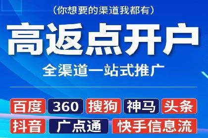 某公司通过百度竞价实现业务快速增长的案例